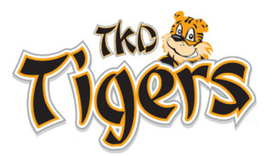Program Tygrysy